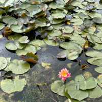 Oxford University & Botanic Garden, Oxford