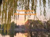 Yuanmingyuan: Finding Peace in Grandeur's Echoes