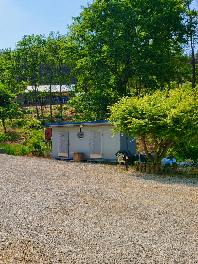 🌳 더숲 밀양, 경남의 숲속 힐링 체험! 