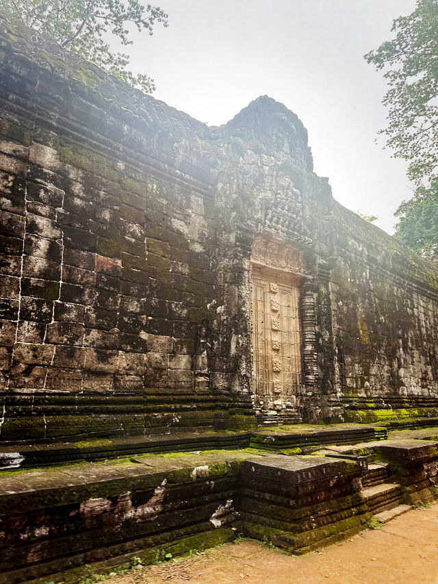 Ta prohm as tomb raider temple 