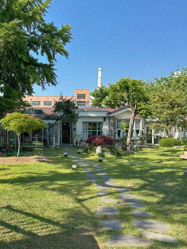 푸릇한 정원이 있는 칠곡 카페 시선