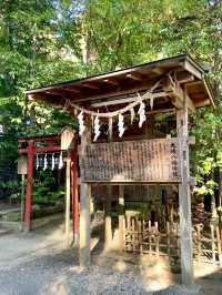 A Day of Serenity and Nature in Sendai ⛩️🌲