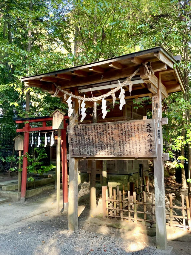 A Day of Serenity and Nature in Sendai ⛩️🌲