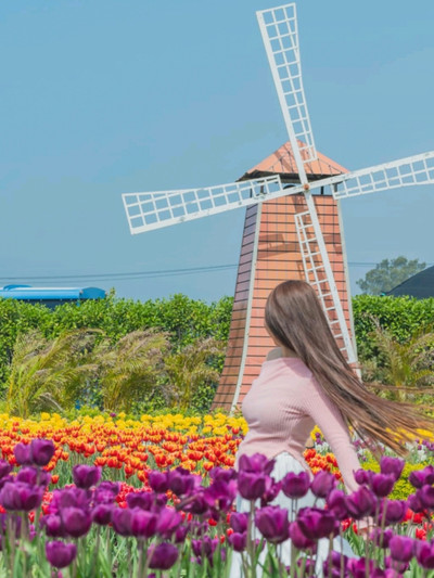 Soaking up the sunshine and the Beautiful Blooms | Trip.com Taichung