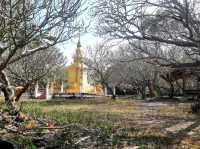 วัดพระบาทแม่ไทย
