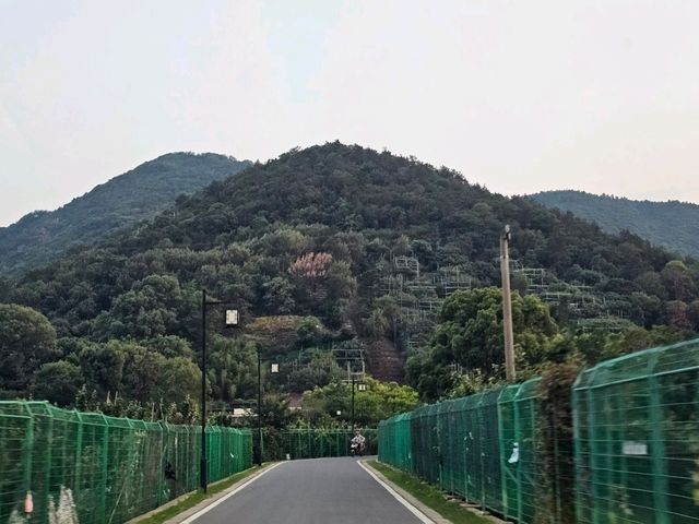 🇨🇳 중국 쑤저우에서 재방문한 맛집