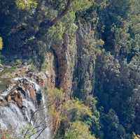 Springbrook National Park – QLD