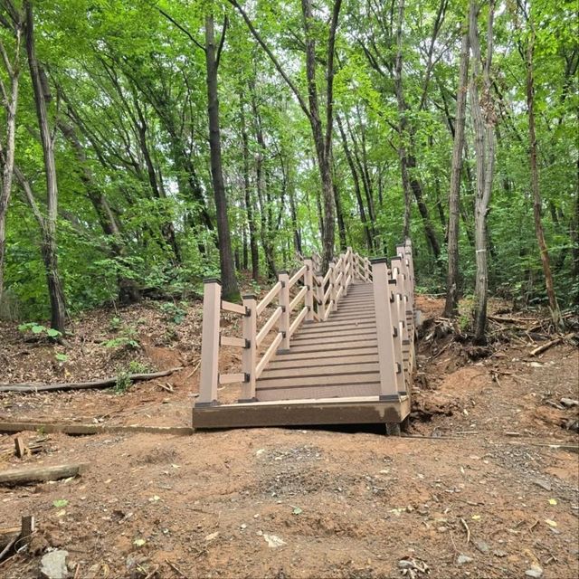 Easy Climb, Solid Views