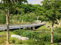🪴Citywalk 東莞植物園
