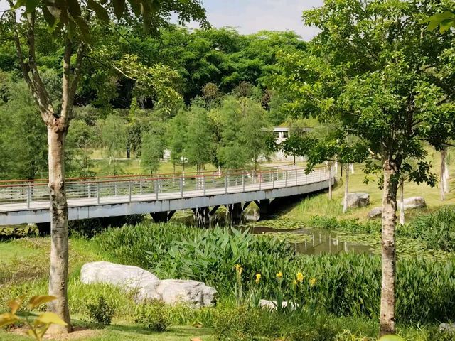 🪴Citywalk 東莞植物園
