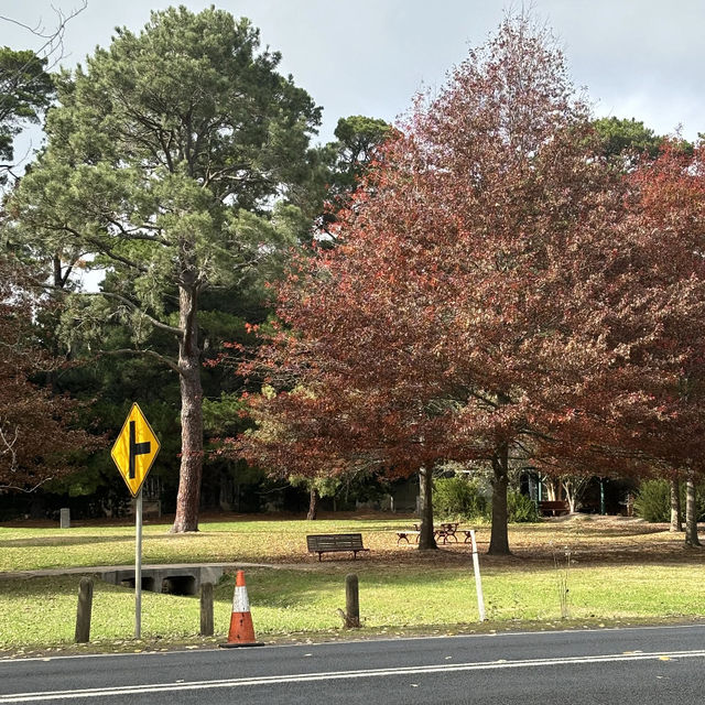 ☀️ Summer Vibes at Mount Macedon 🌿