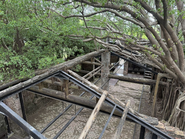 安平樹屋