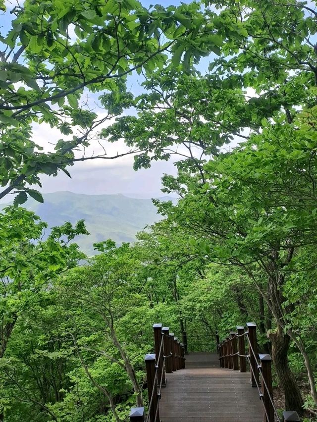 Gaji Mountain Summit