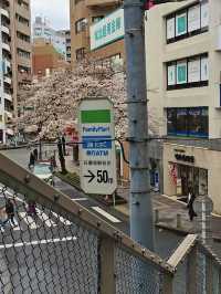 โอซาก้า🇯🇵
