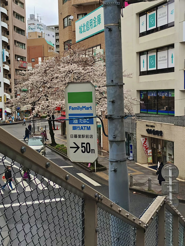 โอซาก้า🇯🇵