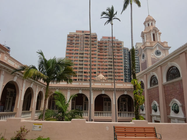 🇭🇰香港最高学府香港大学を散歩してみましょう! 🇭🇰香港最高学府香港大学を散歩してみましょう!
