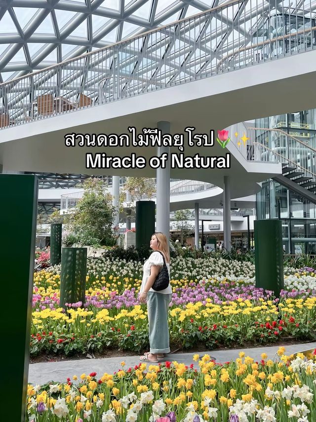 สวนดอกไม้ฟีลยุโรป🌷ใกล้แค่ระยอง🚗