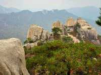 Crushing the Obong Summit