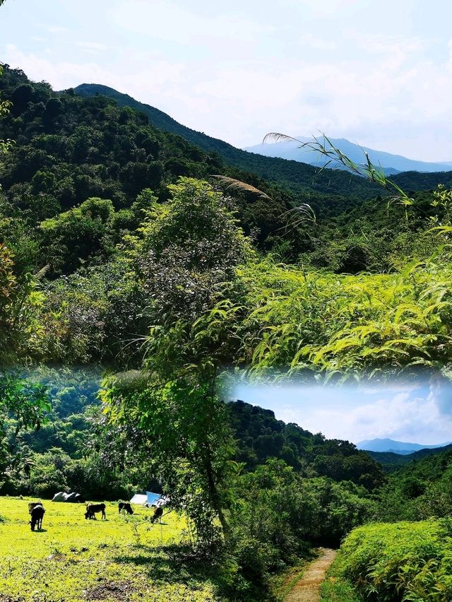 少眾景美雞麻峒