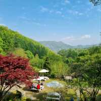 Jade Garden Daydream