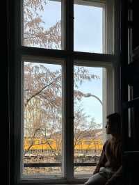 Free walk and free views in the city of Berlin 