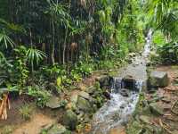 해외여행 브라질에서 가장 큰 식물원 Botanical Garden of Rio de Janeiro