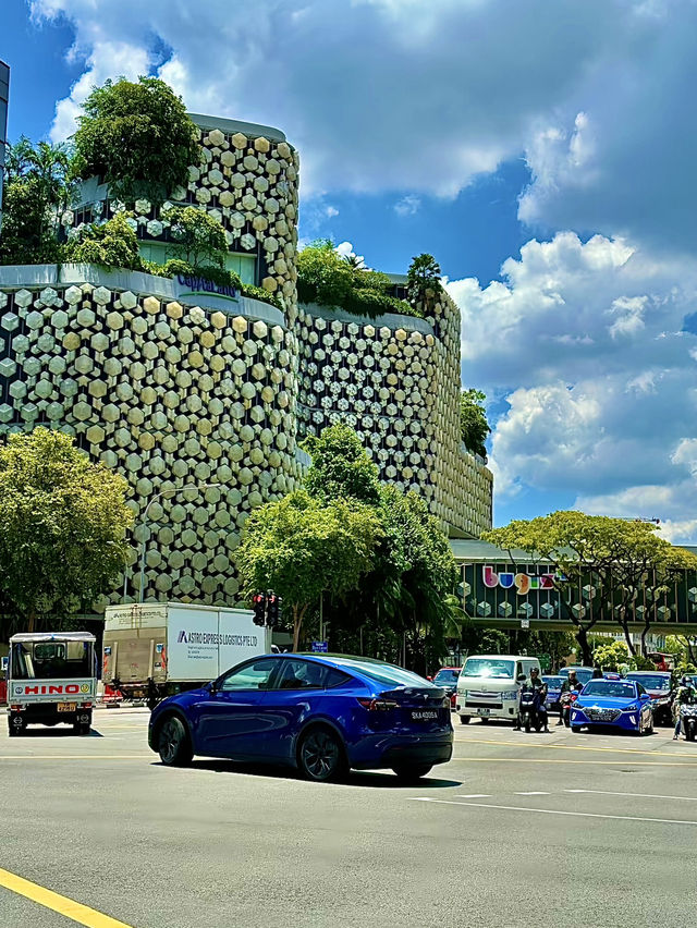 เที่ยวสิงคโปร์กันเถอะทุกคน🇸🇬