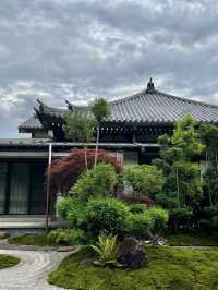 えっ、長谷寺って、紫陽花だけじゃないの？🇯🇵✈️🌎
