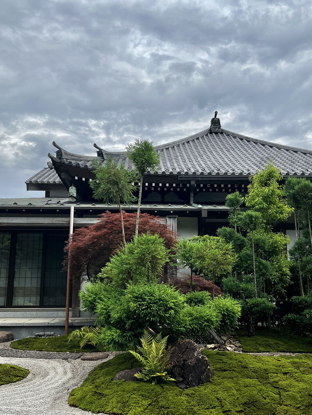 えっ、長谷寺って、紫陽花だけじゃないの？🇯🇵✈️🌎
