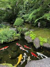 えっ、長谷寺って、紫陽花だけじゃないの？🇯🇵✈️🌎