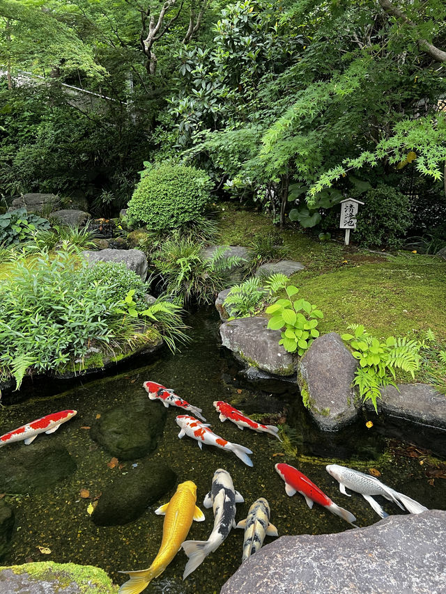 えっ、長谷寺って、紫陽花だけじゃないの？🇯🇵✈️🌎