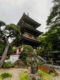 仙台　輪王寺に行くべき5つの理由🇯🇵✈️🌎