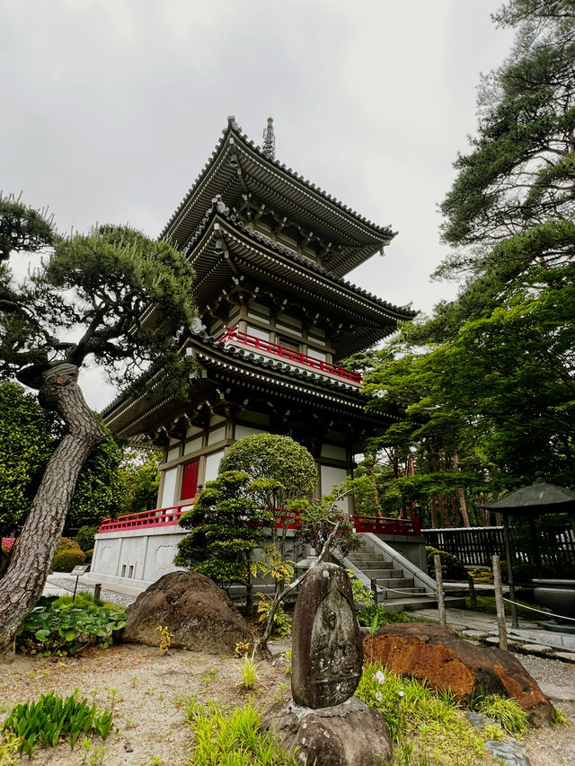 仙台　輪王寺に行くべき5つの理由🇯🇵✈️🌎