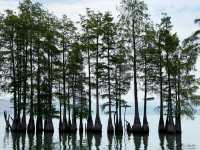 【中国・大理 洱海】癒しと絶景の楽園！