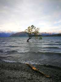 Down South to NZ