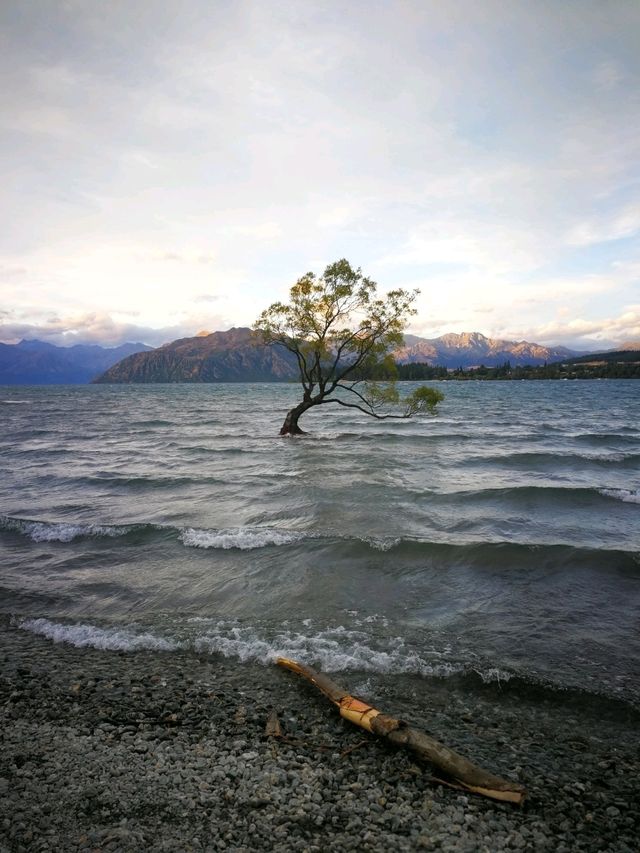 Down South to NZ