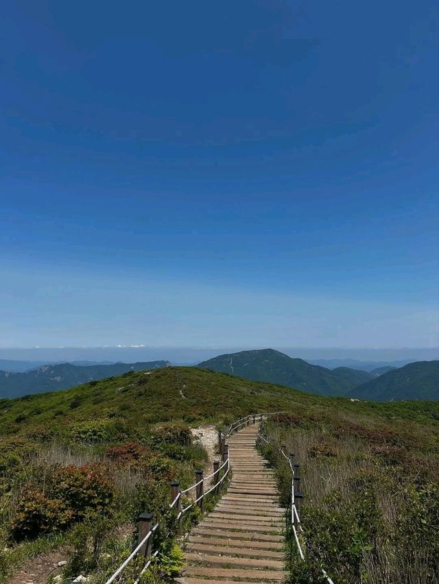 Sky-High and So Worth It