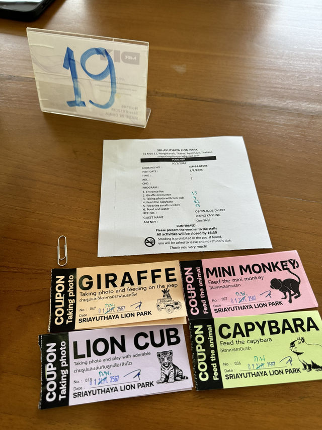 泰國大城包車一日遊 Sriayuthaya Lion Park  動物互動 