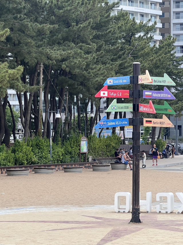 강릉, 속초 1박 2일 여행🩵💙🤍