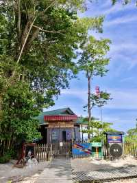 Guardians of Paradise: Diving with Turtles and a Post Office