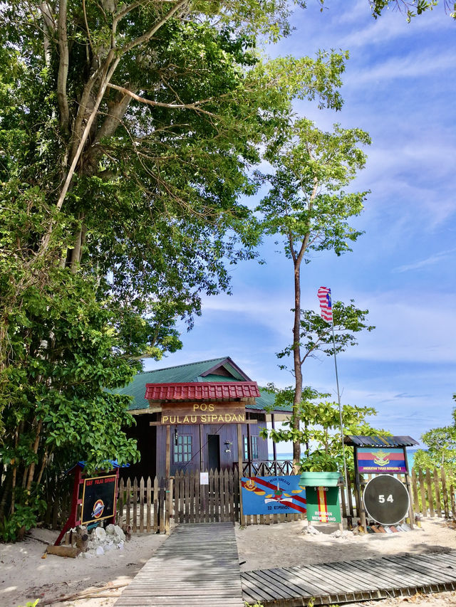 Guardians of Paradise: Diving with Turtles and a Post Office