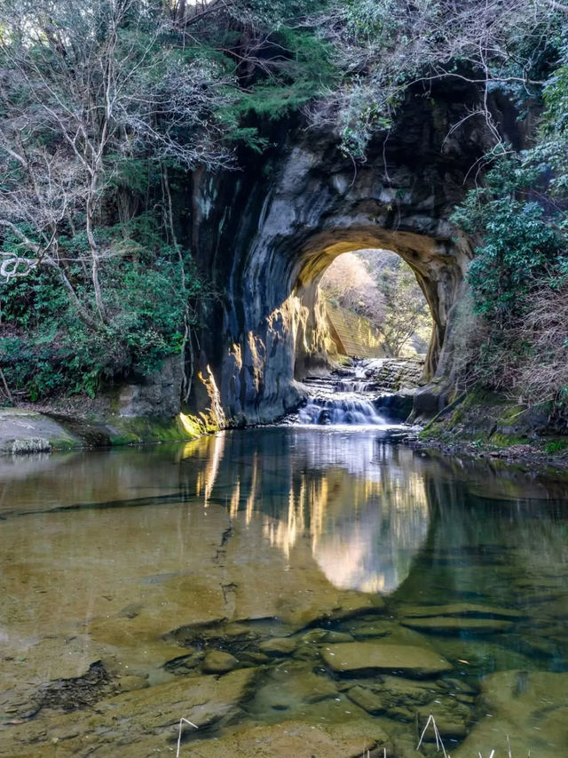 💧幻想的な光と自然が織りなす奇跡「濃溝の滝」で心洗われる旅