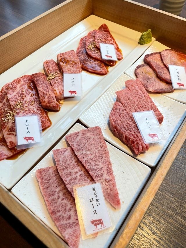 🥩 현지인이 반한 후쿠오카 야쿠인 ‘야키니쿠 죠’ 방문 후기