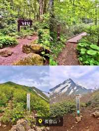 【保存版】北海道利尻島２泊３日の旅✨