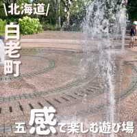 外遊びも大充実‼️夏は水遊びも