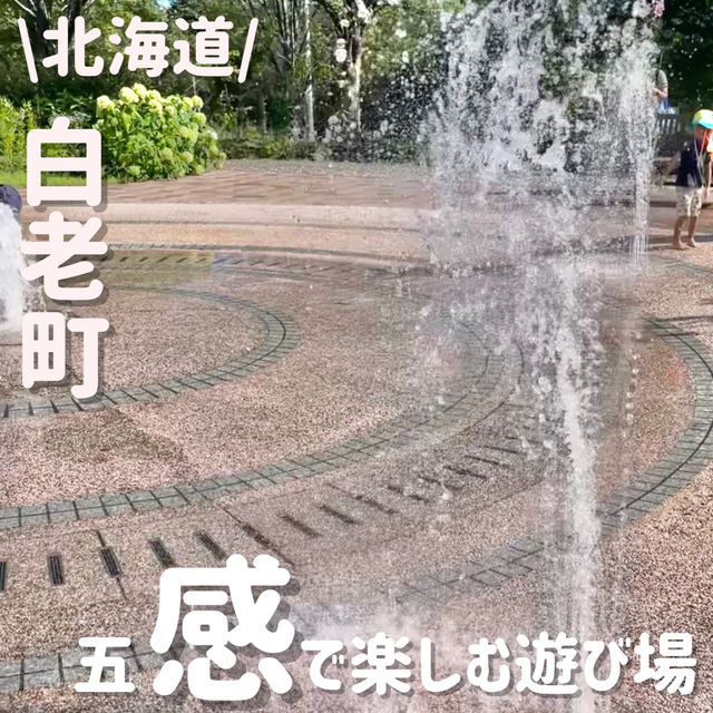 外遊びも大充実‼️夏は水遊びも