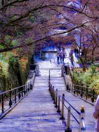 โอซาก้า🇯🇵
