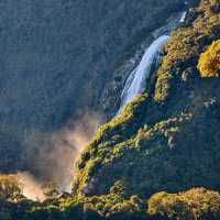 Magical Journey to Milford Sound: A Scenic Adventure You’ll Never Forget
