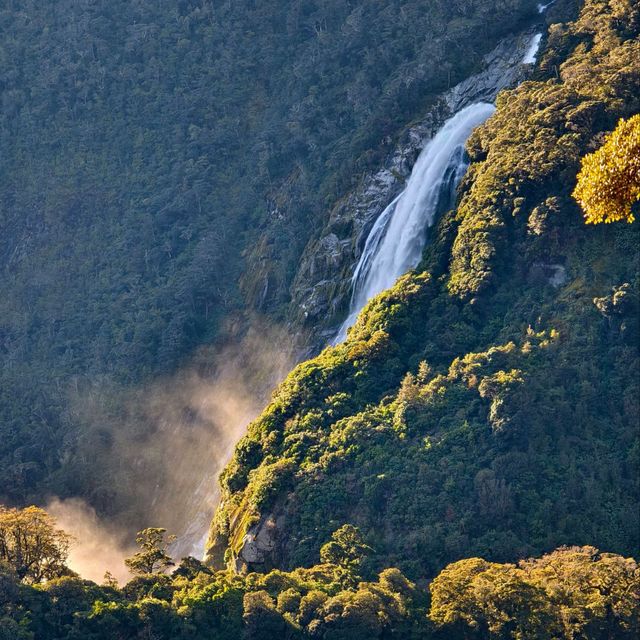 Magical Journey to Milford Sound: A Scenic Adventure You’ll Never Forget