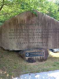 산골짜기 고요 속 돌사이로 피어난 가족의 꿈✨
